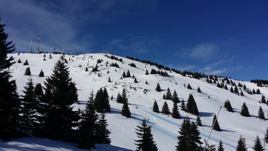 Apartments Vila Zubovic Kopaonik Luaran gambar