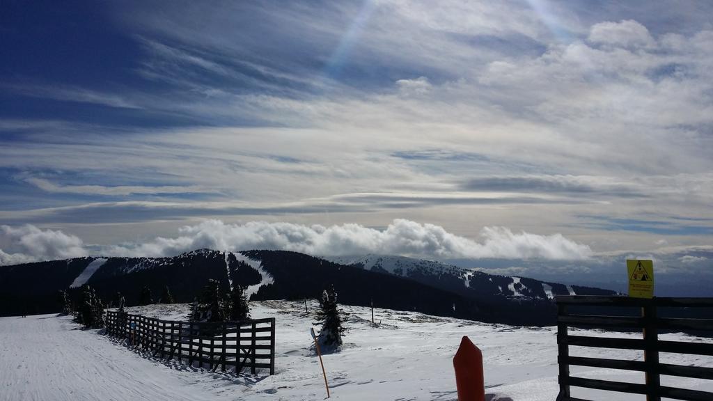 Apartments Vila Zubovic Kopaonik Luaran gambar