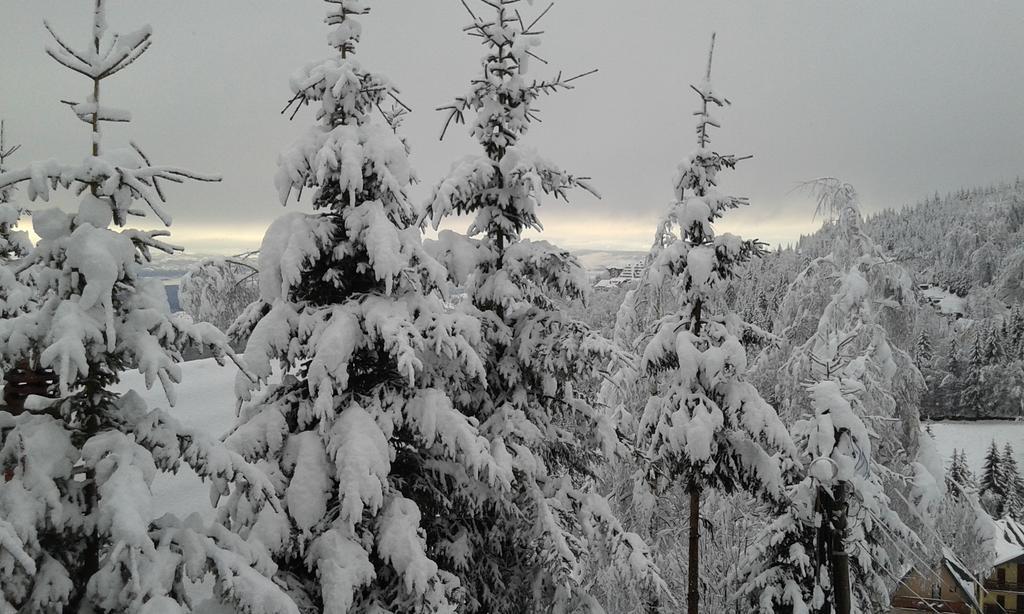 Apartments Vila Zubovic Kopaonik Luaran gambar