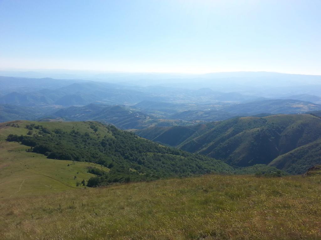 Apartments Vila Zubovic Kopaonik Luaran gambar